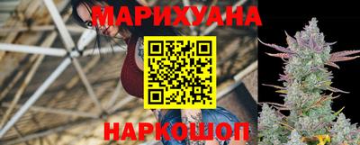 Альфа ПВП Пыть-Ях