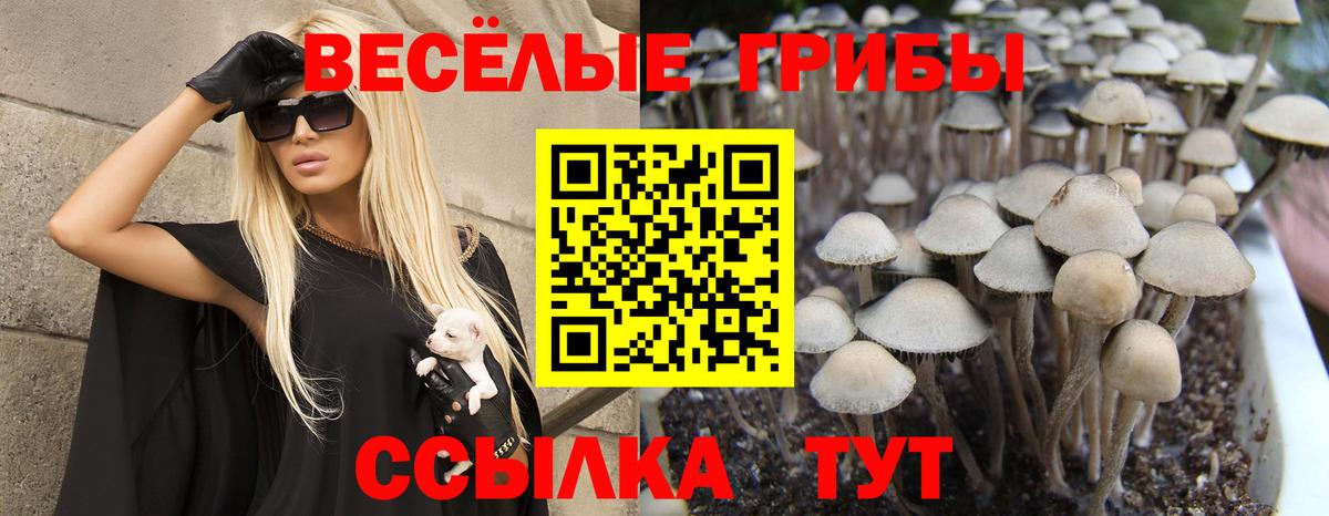 Псилоцибиновые грибы прущие грибы  Вход с VPN  Галлюциногенные грибы мухоморы  где найти   Подольск 